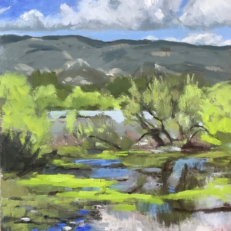 37 Nina Warner Overflow, Lake Los Carneros oil  600