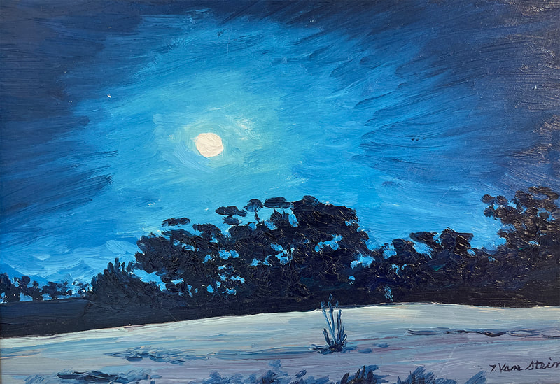 38 Thomas  Van Stein Moonlight Over Carpinteria Bluffs oil Full Donation 1000